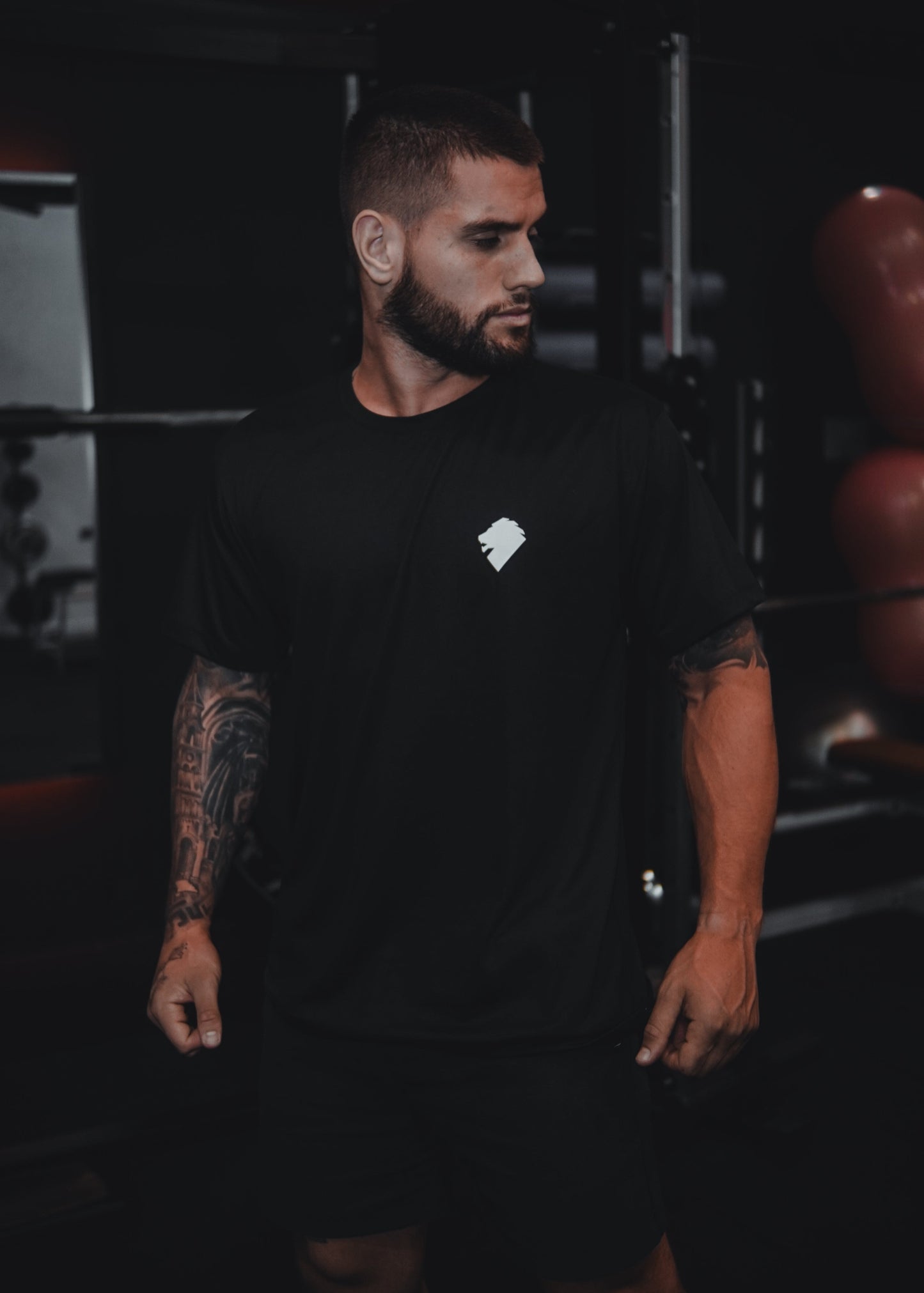 Camiseta Leão Basic Preta