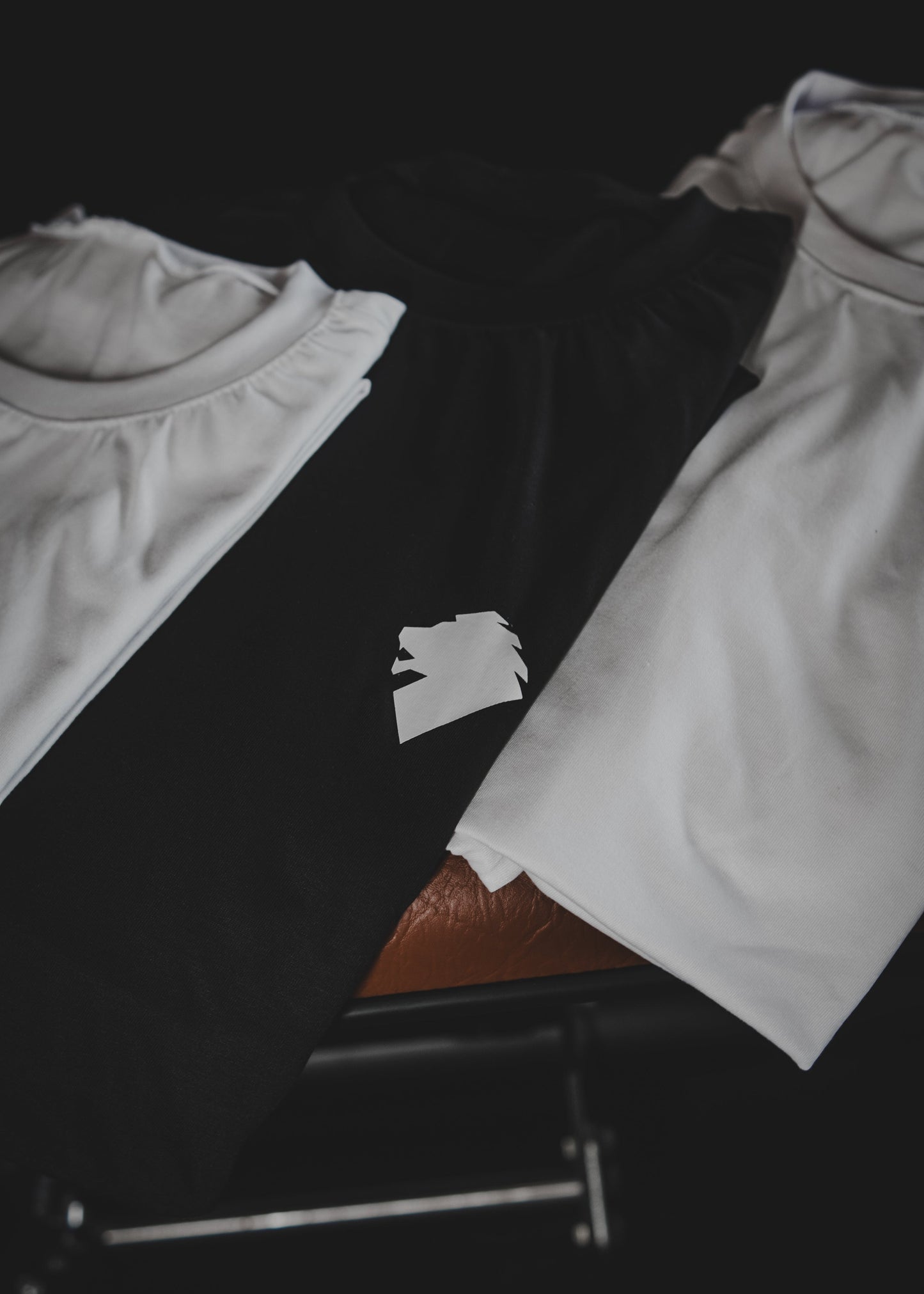 Camiseta Leão Basic Preta