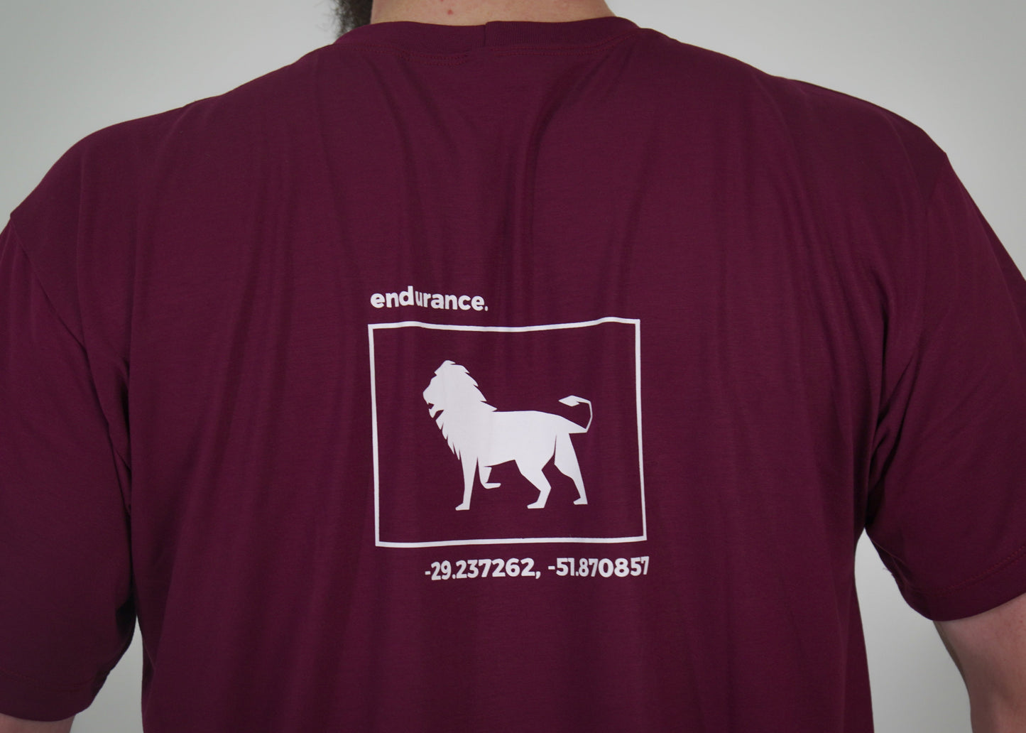 Camiseta Origens Endurance